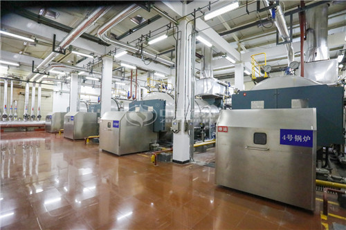 6噸燃氣導(dǎo)熱油爐多少錢一臺