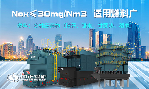 75t/h循環流化床鍋爐