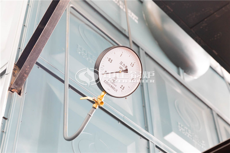 20T燃生物質(zhì)導熱油爐多少錢